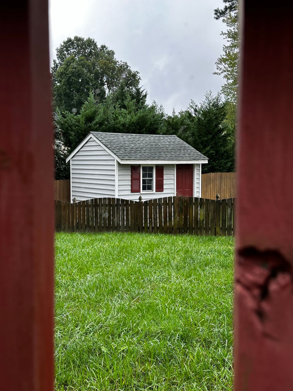 Garden shed viewed through a timber fence gap
