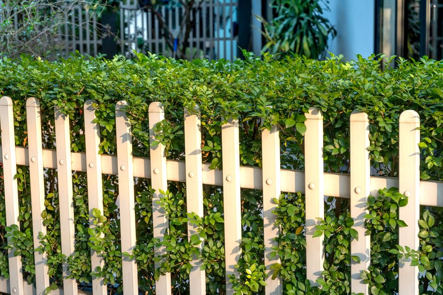 Close-up of a clean, factory-finished steel fence panel